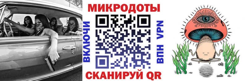 Псилоцибиновые грибы прущие грибы Пудож